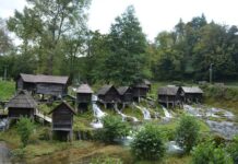 The Great Turk and His Capital