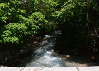 Trial and Perseverance in Early Christianity