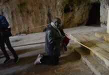 Popularity of the “Unfading Rose” Theme