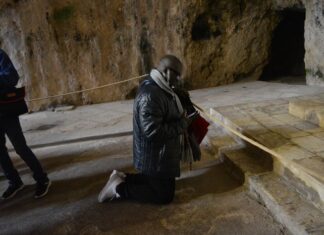 Popularity of the “Unfading Rose” Theme