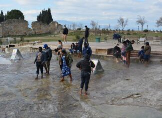 Infant Mortality in Bulgaria (1944–1977)